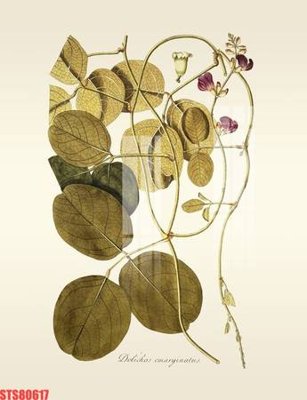 File in trần Tranh sơn dầu phương tây tổng hợp STS80617 (bản gốc) đại dương