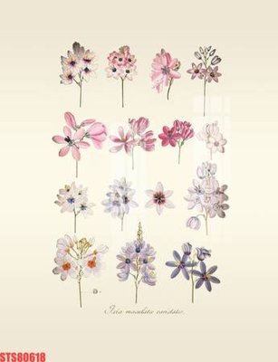 File ảnh gốc Tranh sơn dầu phương tây tổng hợp STS80618 (chuyên in mica)