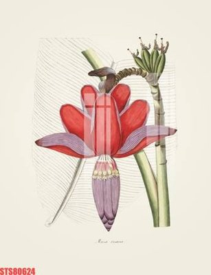 Tải file Tranh sơn dầu phương tây tổng hợp STS80624 (gốc) chủ đề hoa sen