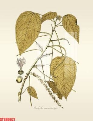 Hình ảnh file gốc Tranh sơn dầu phương tây tổng hợp STS80627 (chất lượng cao)