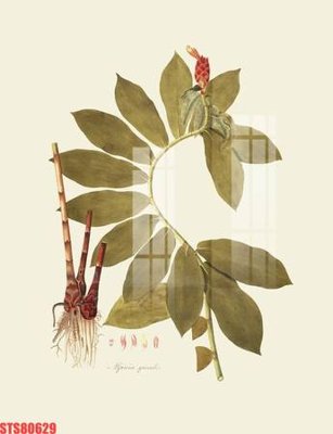 File PSD Tranh sơn dầu phương tây tổng hợp STS80629 (bản gốc) dễ dàng edit