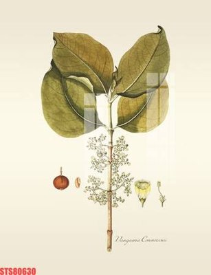 Tải file Tranh sơn dầu phương tây tổng hợp STS80630 (gốc) làm tranh trang trí