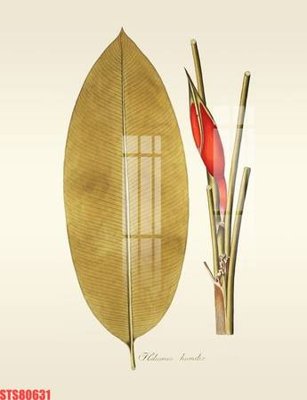 Tải file gốc Tranh sơn dầu phương tây tổng hợp STS80631 dùng cho in ấn