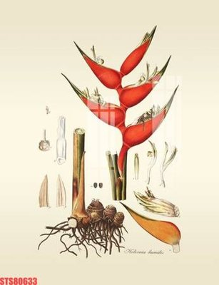 File tranh Tranh sơn dầu phương tây tổng hợp STS80633 (gốc) in film