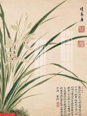 Tải file gốc Tranh sơn dầu phương tây tổng hợp STS80648 (bản PSD) gốc