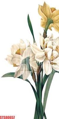 Tải file Tranh sơn dầu phương tây tổng hợp STS80657 (gốc) in tranh tráng gương