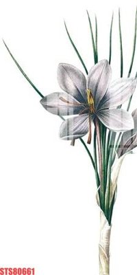 Tải file Tranh sơn dầu phương tây tổng hợp STS80661 (gốc) chủ đề tâm linh