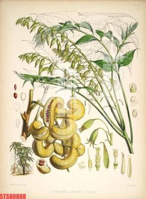 Tải file Tranh sơn dầu phương tây tổng hợp STS80808 (gốc) in ấn chất lượng