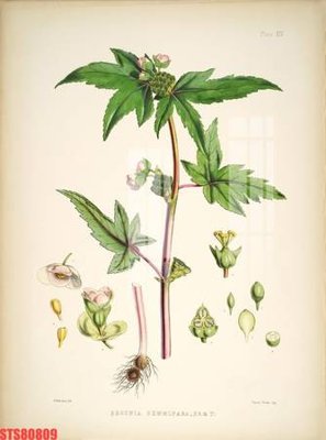 File gốc in ấn Tranh sơn dầu phương tây tổng hợp STS80809 chuẩn màu CMYK