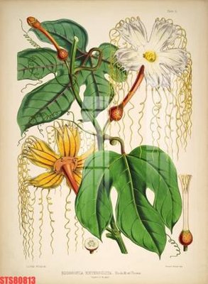 File PSD Tranh sơn dầu phương tây tổng hợp STS80813 (bản gốc) chất lượng nhất