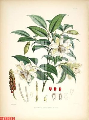 File tranh Tranh sơn dầu phương tây tổng hợp STS80814 (bản gốc) trang trí văn phòng