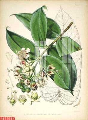 Tải file gốc Tranh sơn dầu phương tây tổng hợp STS80815 dùng cho in ấn