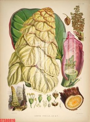 File PSD Tranh sơn dầu phương tây tổng hợp STS80816 (bản gốc) độ phân giải cao