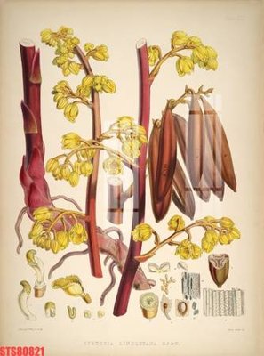 Tải file gốc Tranh sơn dầu phương tây tổng hợp STS80821 (in không vỡ ảnh)