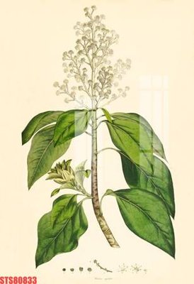 Download file gốc Tranh sơn dầu phương tây tổng hợp STS80833 (in mica) trang trí