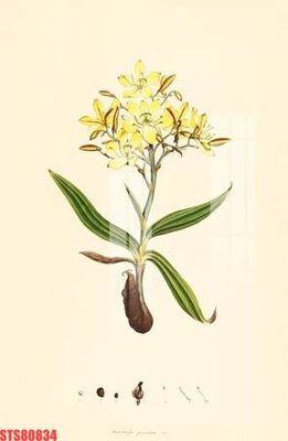 File PSD Tranh sơn dầu phương tây tổng hợp STS80834 (nguyên gốc) chất lượng cao