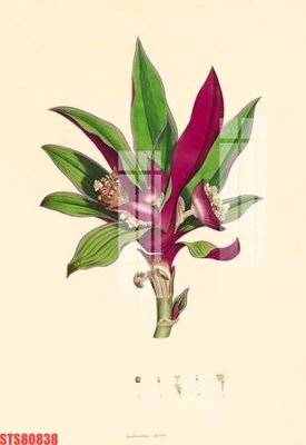 File tranh Tranh sơn dầu phương tây tổng hợp STS80838 (bản gốc) in lụa 5D