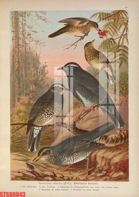 File gốc Tranh sơn dầu phương tây tổng hợp STS80843 (in lụa) cao cấp