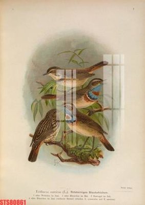 File gốc Tranh sơn dầu phương tây tổng hợp STS80861 (in lụa) tranh thuận buồm