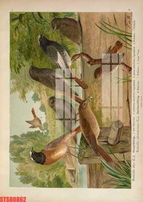 Mua file gốc Tranh sơn dầu phương tây tổng hợp STS80862 (in ấn) tại Filetranh.com