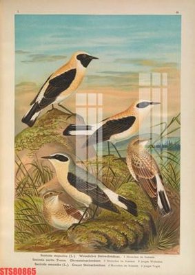 File tranh trang trí Tranh sơn dầu phương tây tổng hợp STS80865 (tải file gốc)