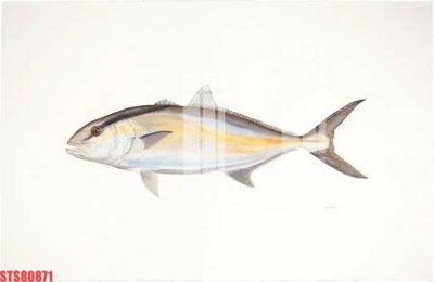 Tải file gốc Tranh sơn dầu phương tây tổng hợp STS80871 (in khổ lớn) không mờ