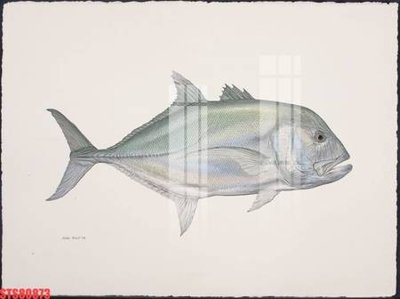 File PSD Tranh sơn dầu phương tây tổng hợp STS80873 (bản gốc) chất lượng nhất