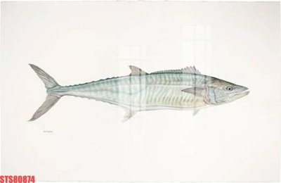 File PSD Tranh sơn dầu phương tây tổng hợp STS80874 (bản gốc) độ phân giải cao