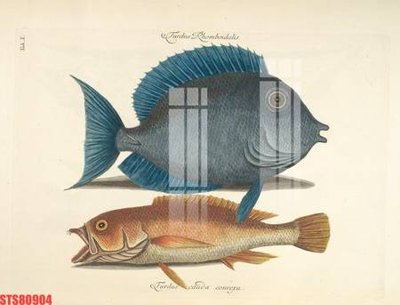 Tải file Tranh sơn dầu phương tây tổng hợp STS80904 (gốc) chủ đề tôn giáo