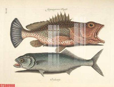 File in ấn chuyên nghiệp Tranh sơn dầu phương tây tổng hợp STS80908 (file gốc)