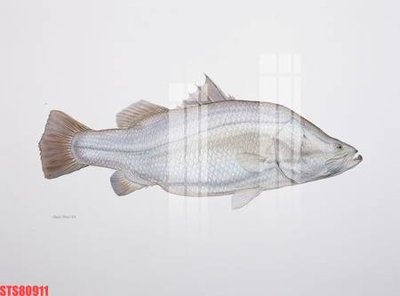 Mua file gốc Tranh sơn dầu phương tây tổng hợp STS80911 (PSD) tại Filetranh.com