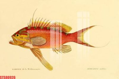 File PSD Tranh sơn dầu phương tây tổng hợp STS80926 (nguyên bản) cho thiết kế