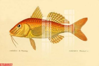 File tranh gốc Tranh sơn dầu phương tây tổng hợp STS80927 (bản quyền) độc đáo