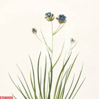 File gốc Tranh sơn dầu phương tây tổng hợp STS80939 (AI/EPS) cho in ấn