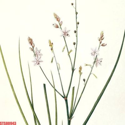 File in trần Tranh sơn dầu phương tây tổng hợp STS80943 (bản gốc 3D) sống động