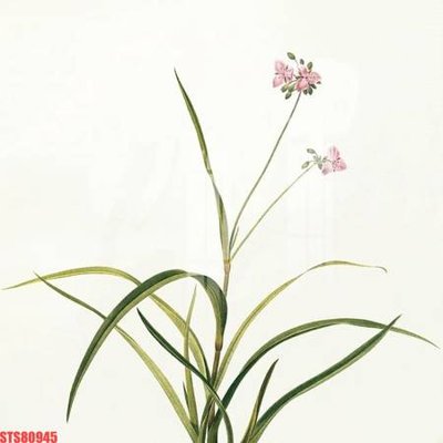 File gốc Tranh sơn dầu phương tây tổng hợp STS80945 (PNG) chất lượng cao