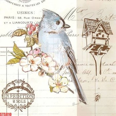 File in ấn Tranh sơn dầu phương tây tổng hợp STS810 chuyên nghiệp