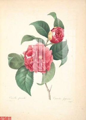 Tải file gốc Tranh sơn dầu phương tây tổng hợp STS811 (in khổ lớn) không vỡ