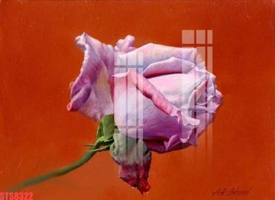 File tranh Tranh sơn dầu phương tây tổng hợp STS8322 (bản gốc) in lụa dán tường