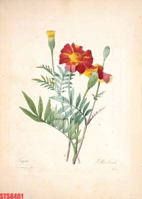 File in trần Tranh sơn dầu phương tây tổng hợp STS8401 (bản gốc) bầu trời