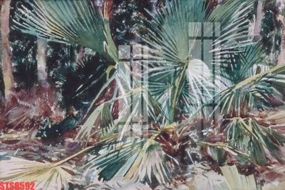 Tệp tin gốc Tranh sơn dầu phương tây tổng hợp STS8592 (chất lượng) Tranh sơn dầu phương tây tổng hợp STS8592