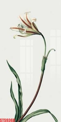 File ảnh Tranh sơn dầu phương tây tổng hợp STS9365 (gốc) cho trang trí nội thất