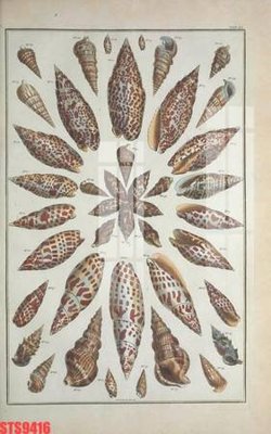 File in trần Tranh sơn dầu phương tây tổng hợp STS9416 (file gốc) phong thủy