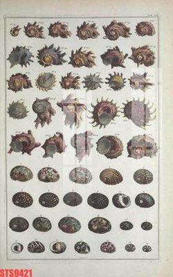 Download file gốc Tranh sơn dầu phương tây tổng hợp STS9421 (in mica) trong suốt