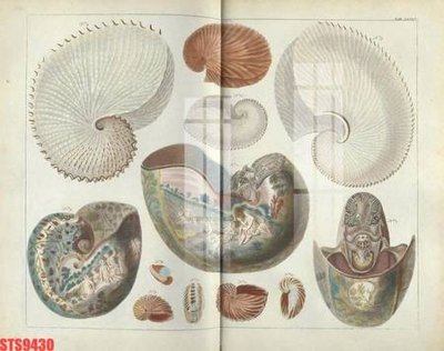 Download file Tranh sơn dầu phương tây tổng hợp STS9430 (gốc) in mica cao cấp