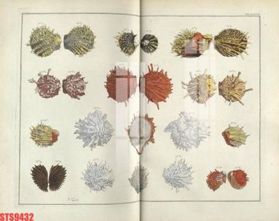 File gốc Tranh sơn dầu phương tây tổng hợp STS9432 (in tráng gương) hiện đại