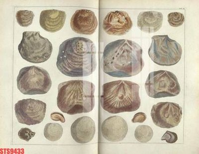 File gốc Tranh sơn dầu phương tây tổng hợp STS9433 (cho in ấn) từ Filetranh.com