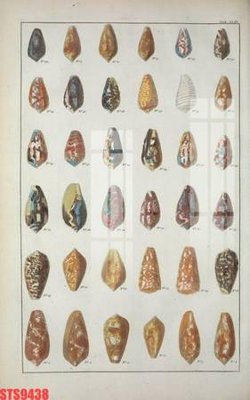 File tranh Tranh sơn dầu phương tây tổng hợp STS9438 (ảnh gốc) in trần nhà