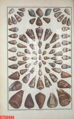 Mua file gốc Tranh sơn dầu phương tây tổng hợp STS9444 (in ấn) tại Filetranh.com