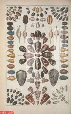 Tải file PSD Tranh sơn dầu phương tây tổng hợp STS9445 (nguyên layer) để in